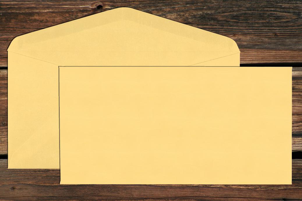 Briefhüllen DL 110x220 mm Nassklebend Chamois 120 g/qm